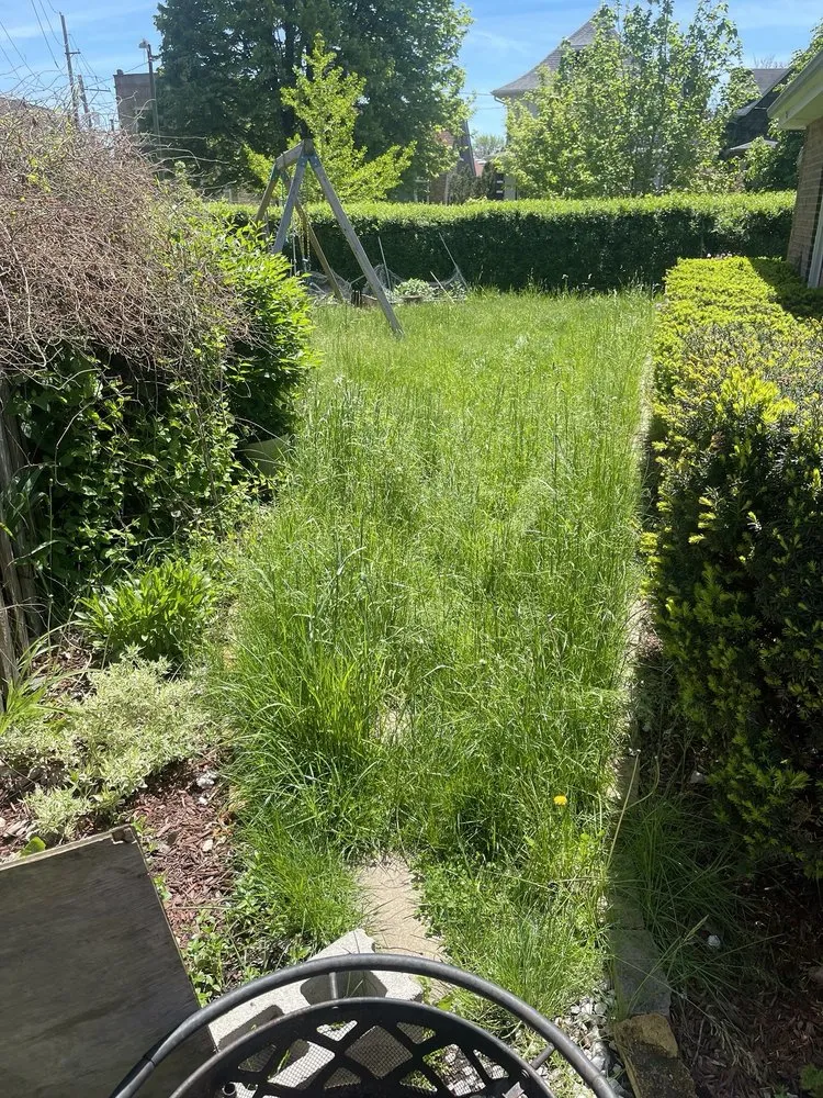 Expert landscaping services in Justice, IL - Parkview Landscapes