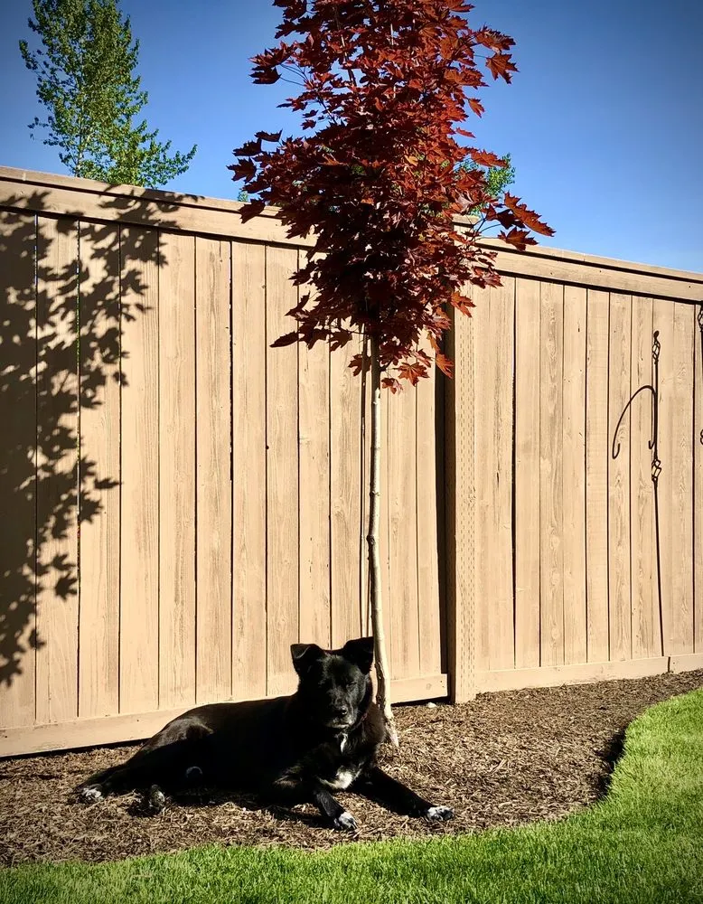 Professional landscaping services for residential properties across Mill Creek, WA - Parkview Landscaping