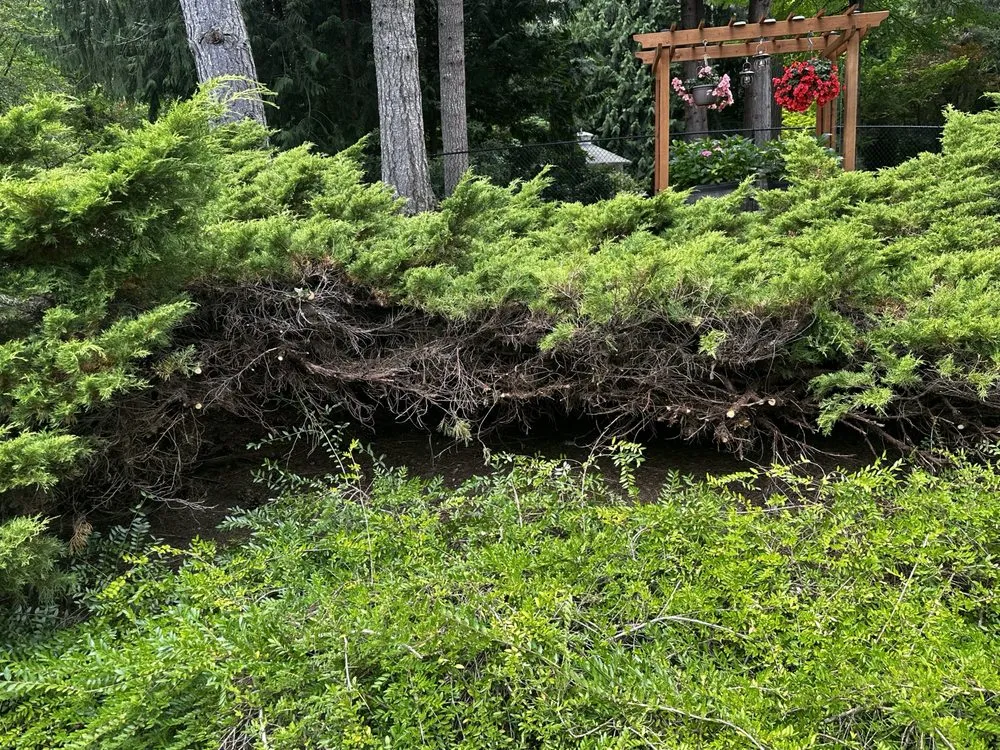 Expert landscape installation experts serving Mill Creek, WA - Parkview Landscaping