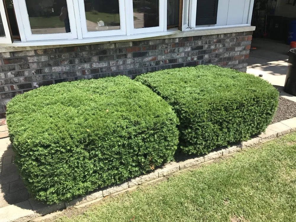 Trusted residential landscaping in Rockford, IL by Parkway Lawn Care