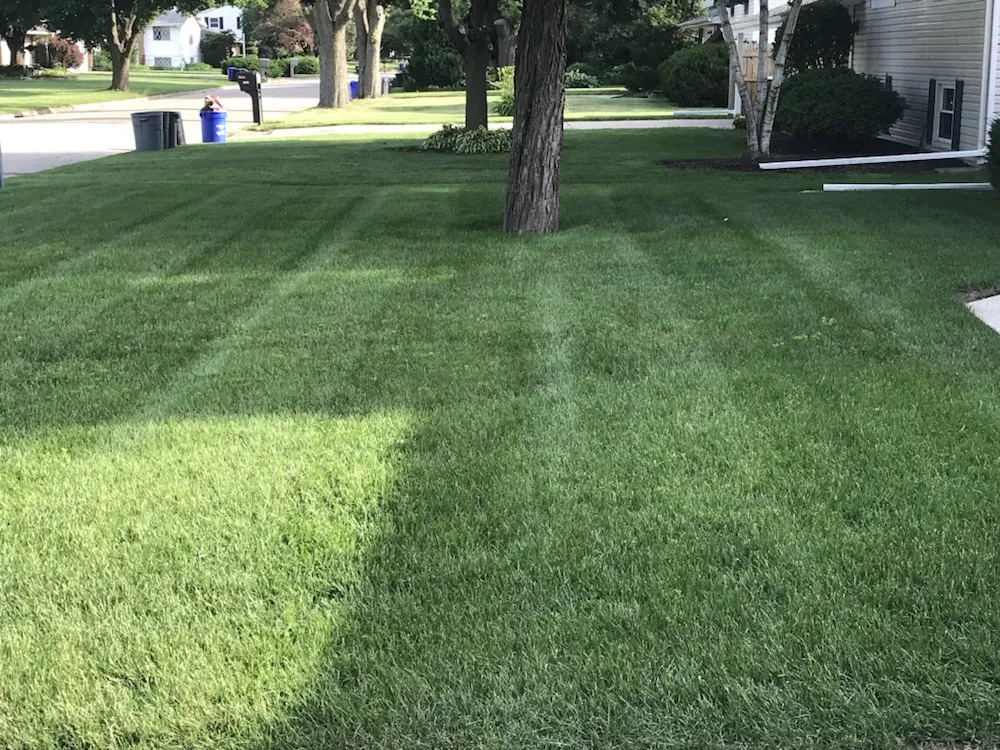 Custom yard cleanup service for residential properties across Rockford, IL - Parkway Lawn Care
