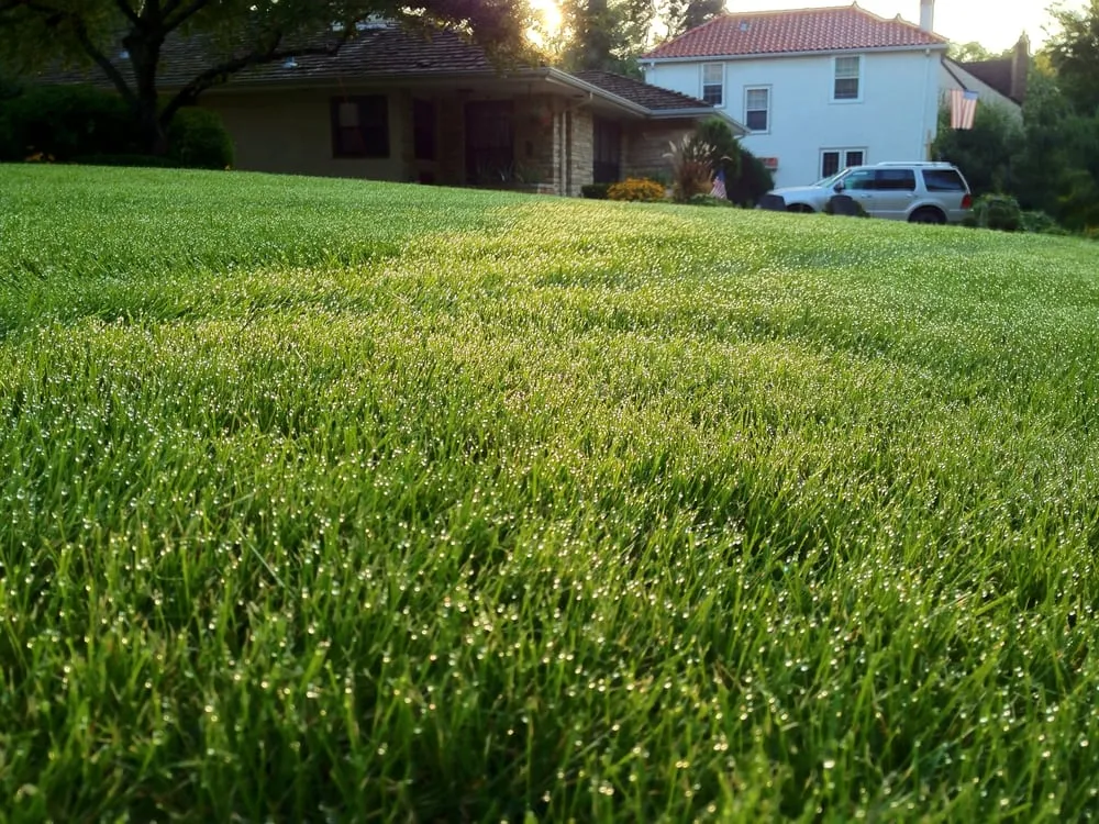 Top-rated garden landscaping experts serving Minneapolis, MN - Parkway Lawn Service Inc