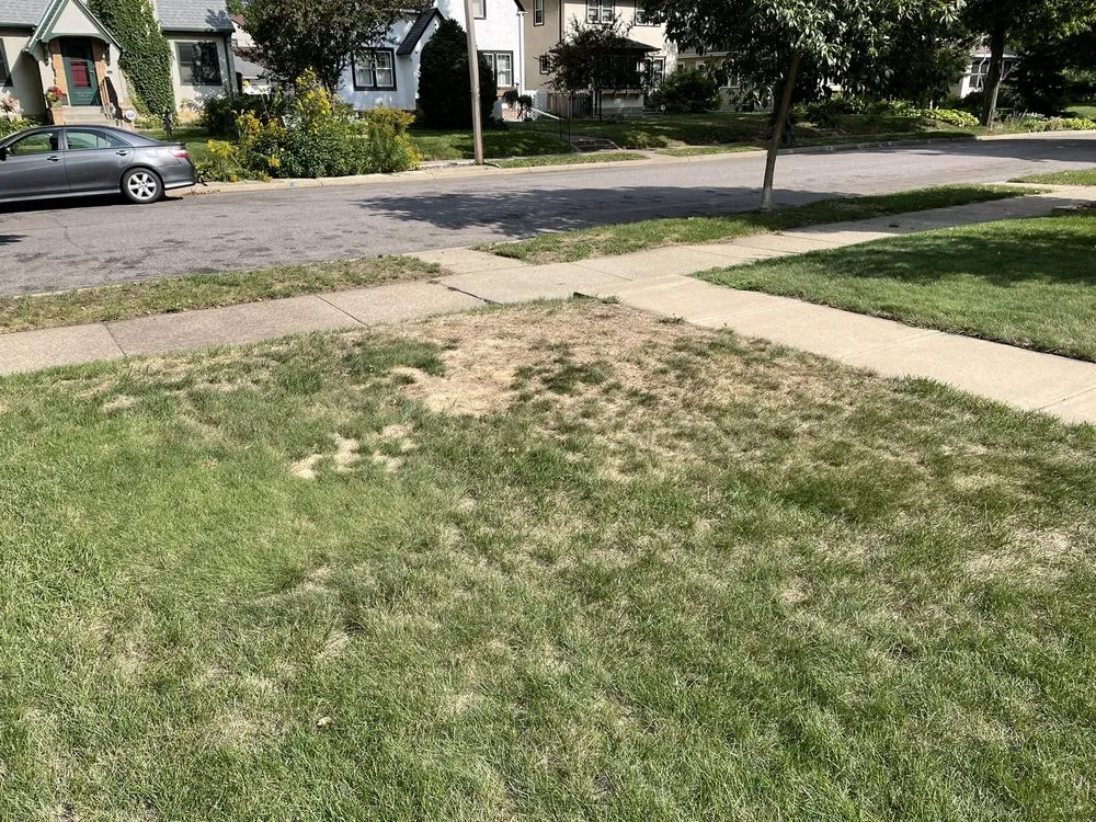 Professional landscaping services in Minneapolis, MN - Parkway Lawn Service Inc