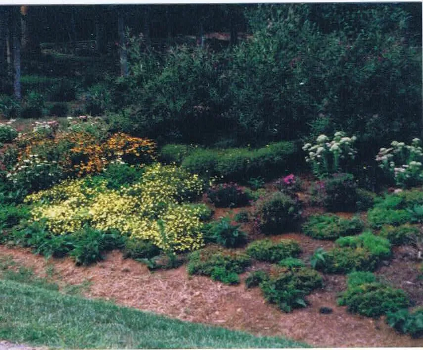 Reliable lawn care service for outdoor upgrades across Huddleston, VA - Parkway Nursery & Landscapes