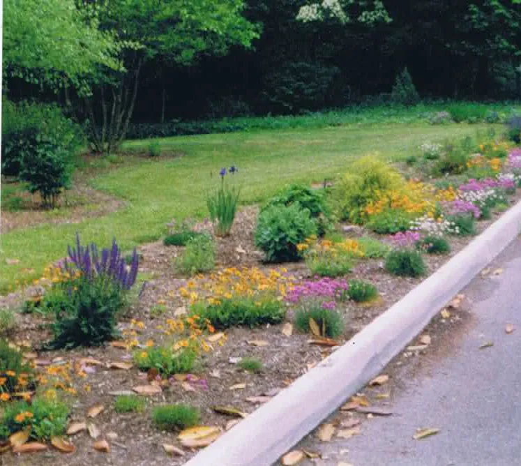 Reliable landscape installation in Huddleston, VA - Parkway Nursery & Landscapes