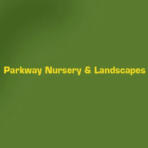 Top-rated yard cleanup service with custom design across Huddleston, VA - Parkway Nursery & Landscapes