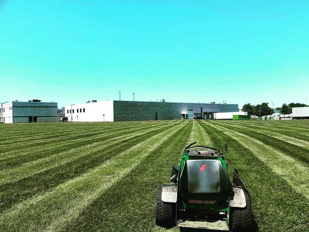 Professional yard maintenance in Langhorne, PA by Parkyn Landscape & Hardscape