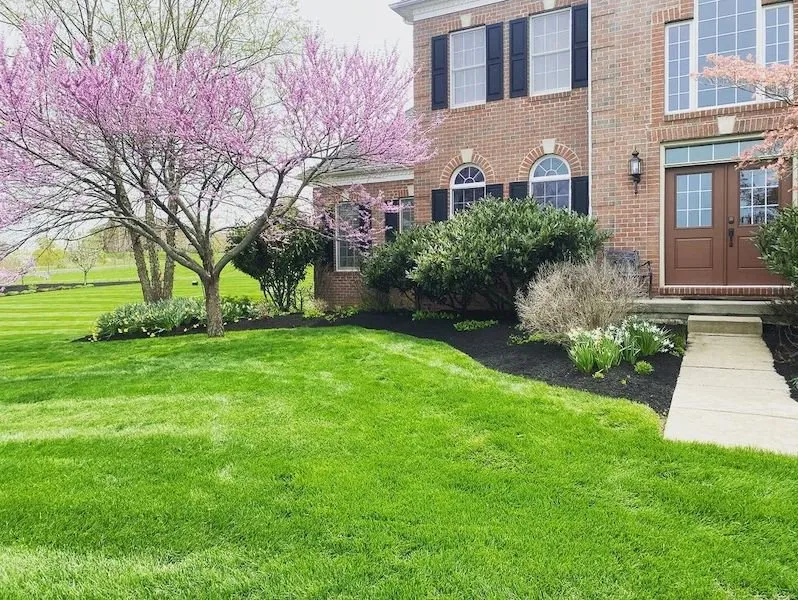 Custom lawn care service for residential properties across Langhorne, PA - Parkyn Landscape & Hardscape