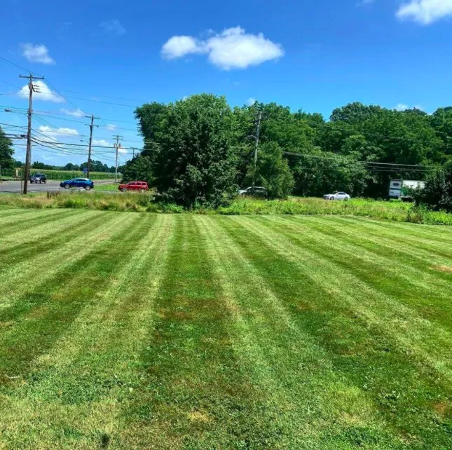 Trusted yard maintenance experts serving Levittown, PA - Parkyn Properties