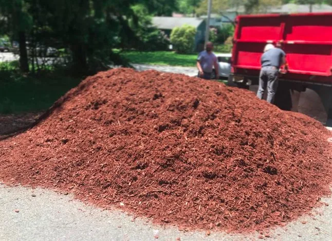 Local landscaping services in Levittown, PA - Parkyn Properties