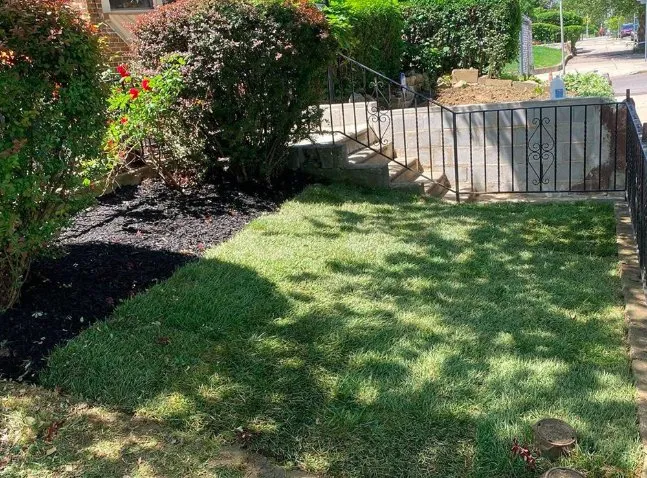Affordable yard maintenance with custom design across Levittown, PA - Parkyn Properties