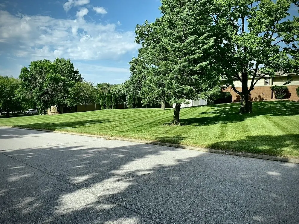 Expert yard cleanup service in Ankeny, IA by Parlee Lawn Care