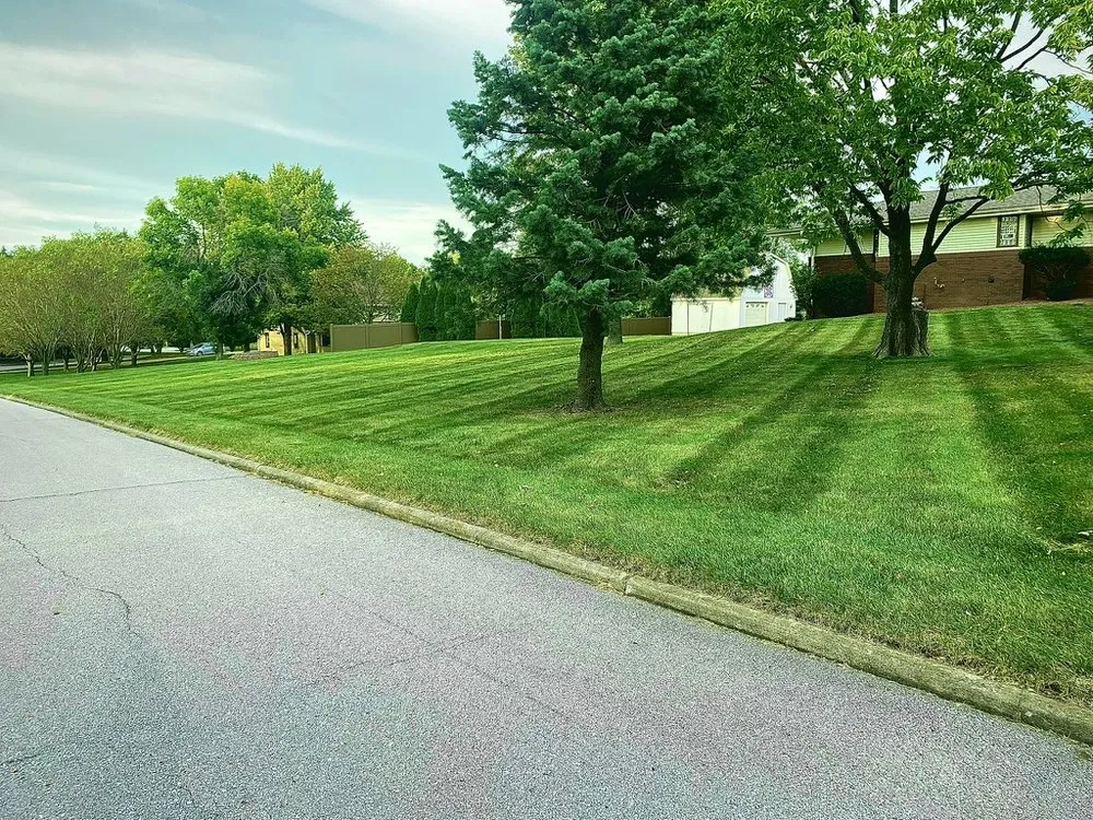 Expert outdoor landscaping with custom design across Ankeny, IA - Parlee Lawn Care