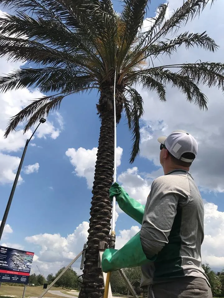 Professional landscape design for outdoor upgrades in Altamonte Springs, FL by Parmley Environmental Services