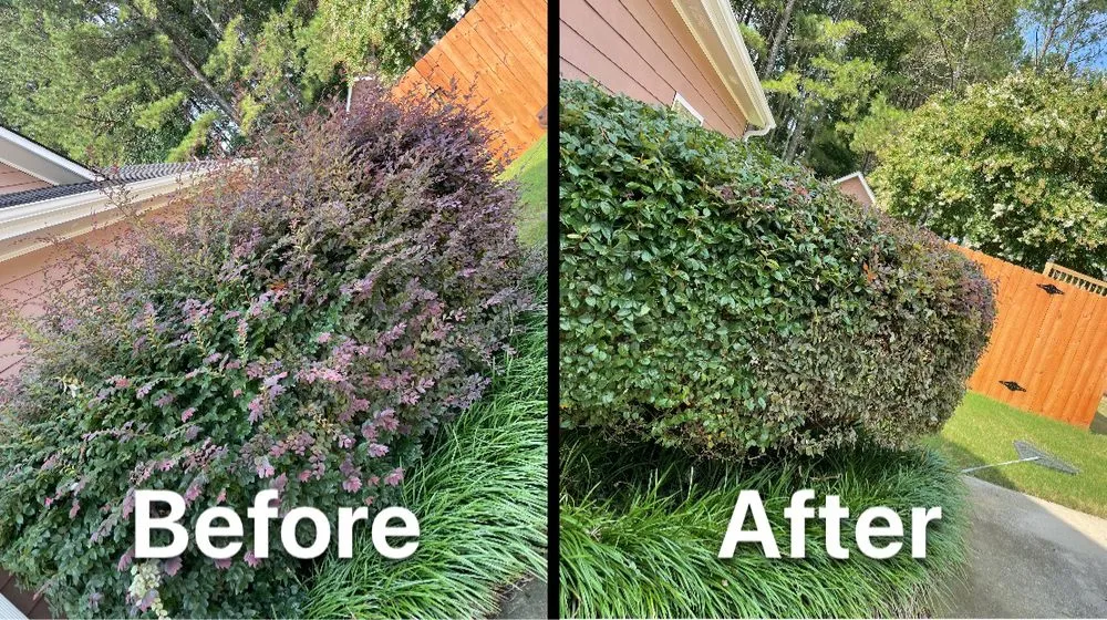 Top-rated lawn care service in Monroe, GA - Parr Lawn Services