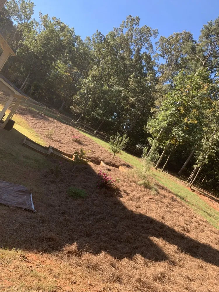 Professional landscaping services in Monroe, GA by Parr Lawn Services