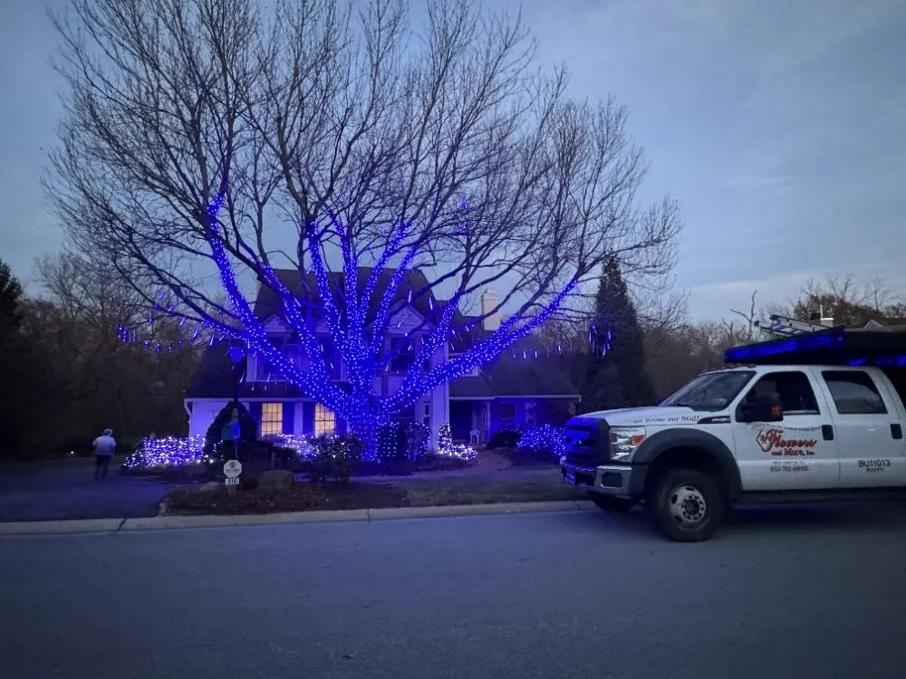 Professional yard cleanup service for year-round maintenance in West Chester, PA by Parra Landscape