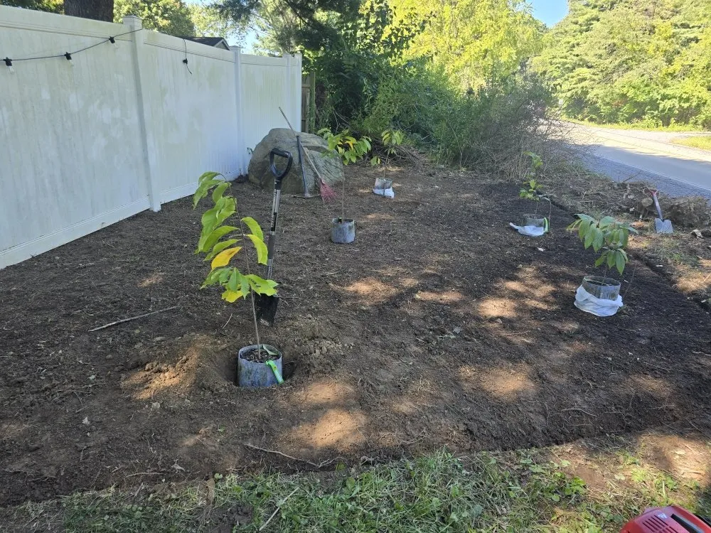 Expert outdoor landscaping experts serving West Chester, PA - Parra Landscape