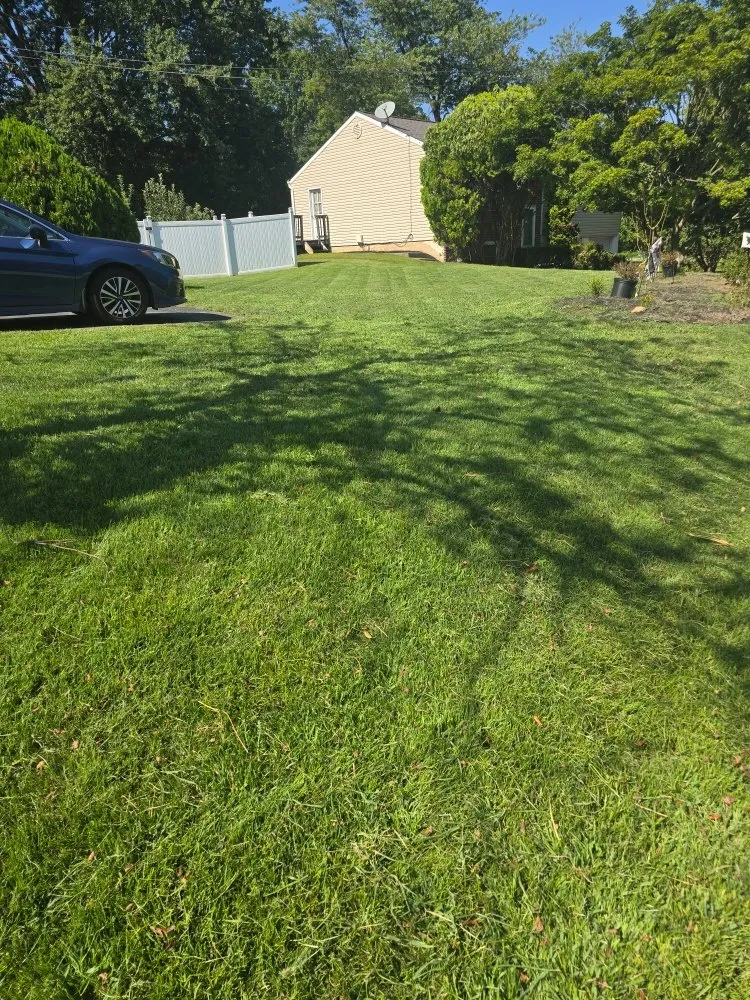 Reliable landscaping services experts serving West Chester, PA - Parra Landscape