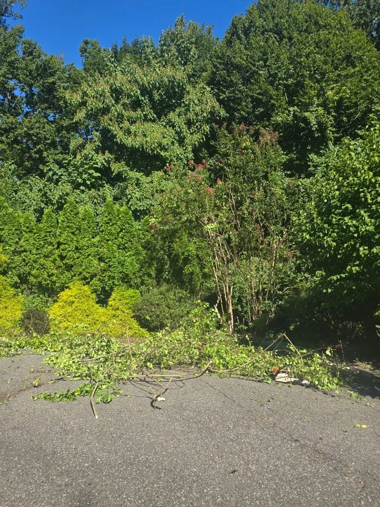 Affordable yard maintenance in West Chester, PA by Parra Landscape