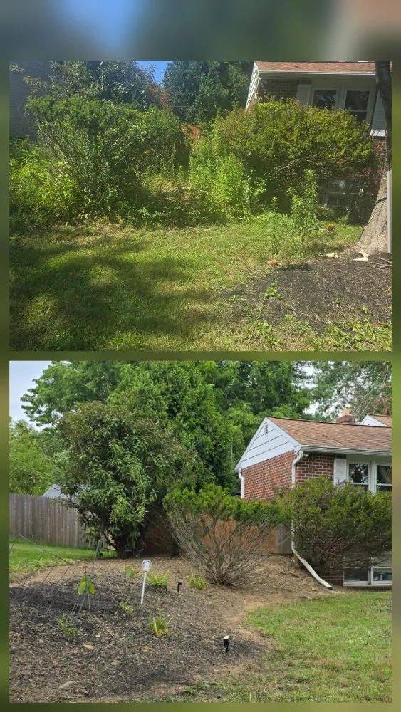 Reliable yard cleanup service in West Chester, PA - Parra Landscape