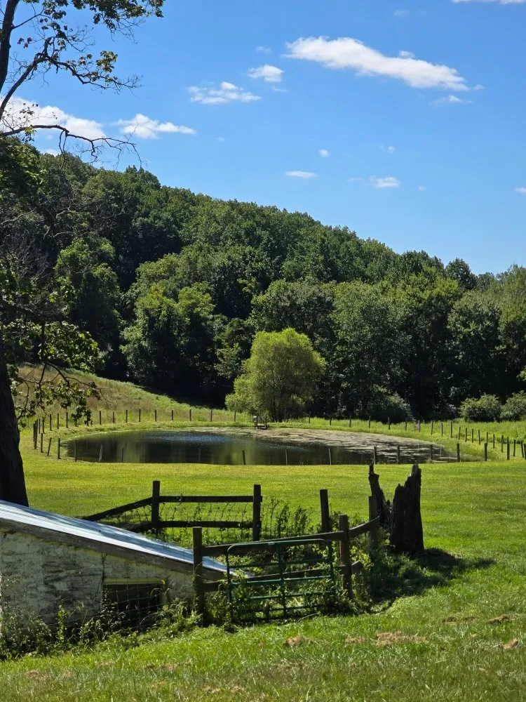 Professional lawn care service in West Chester, PA by Parra Landscape