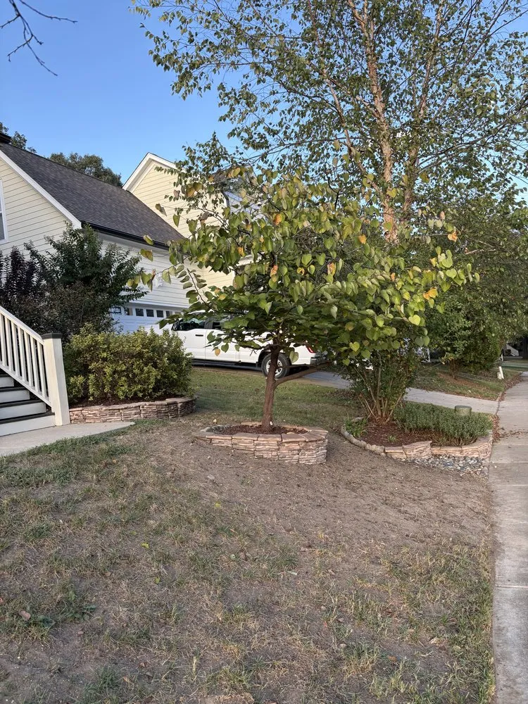 Reliable yard cleanup service with custom design across Youngsville, NC - Parra Outdoor Services