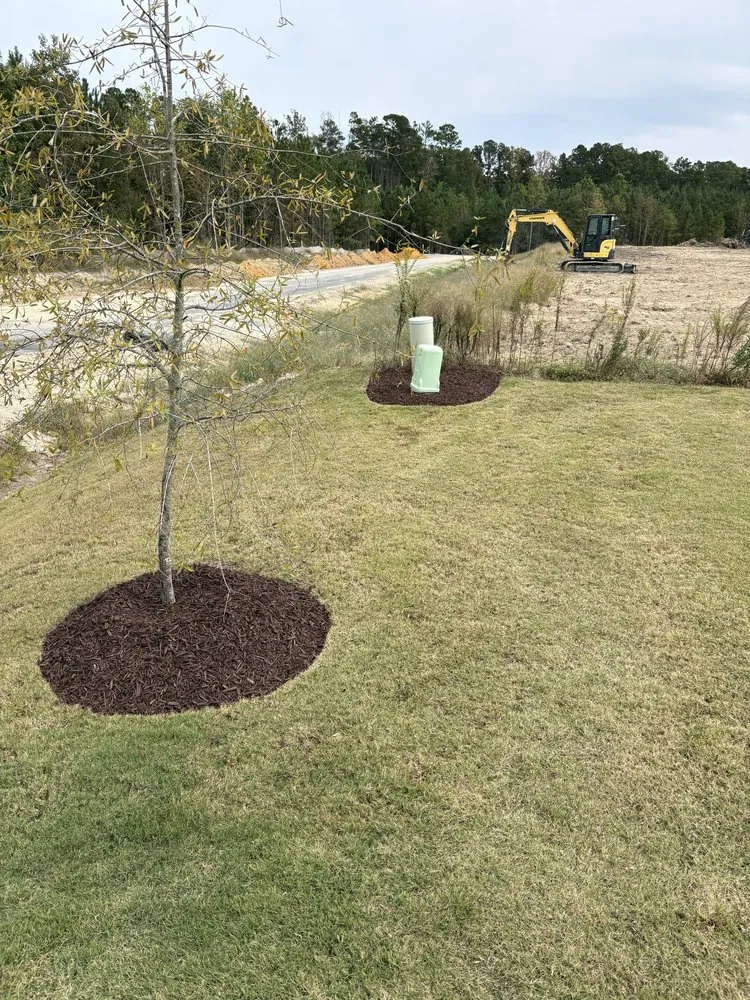 Expert yard cleanup service in Youngsville, NC by Parra Outdoor Services