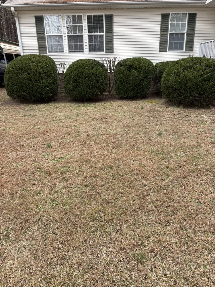 Expert landscape installation in Youngsville, NC by Parra Outdoor Services