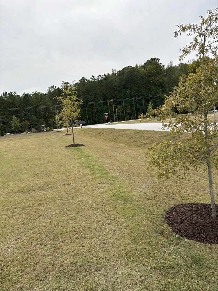 Trusted lawn mowing service in Youngsville, NC by Parra Outdoor Services