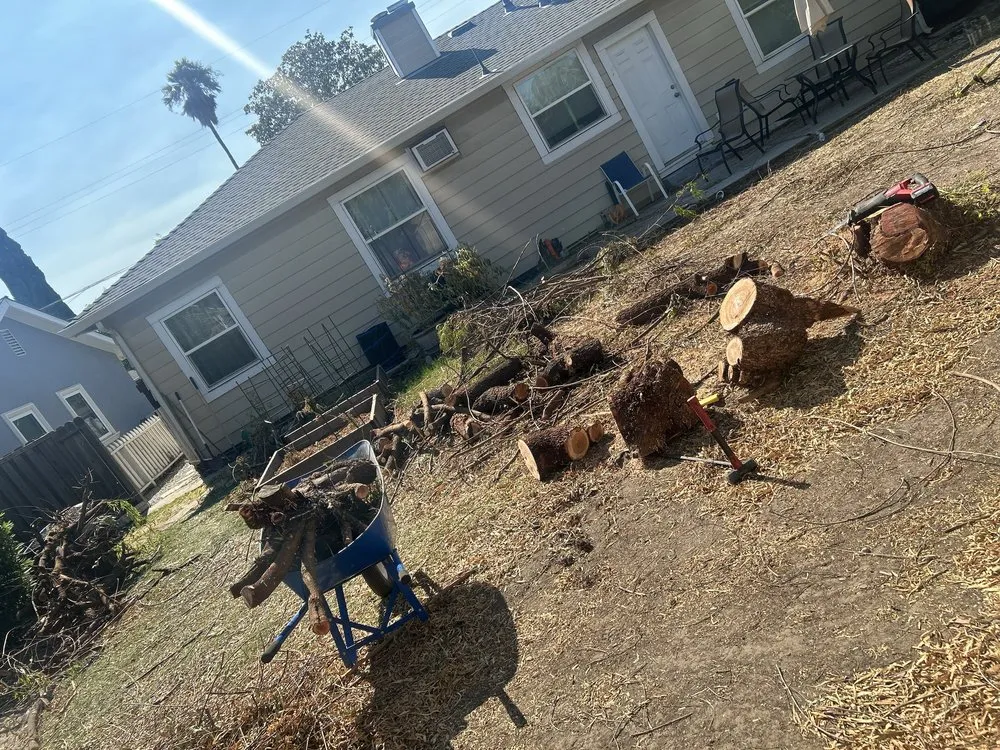 Top-rated outdoor landscaping for year-round maintenance in Concord, CA by Parra Trees & Construction