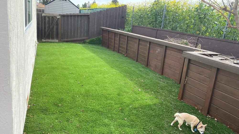 Top-rated yard maintenance experts serving Concord, CA - Parra Trees & Construction