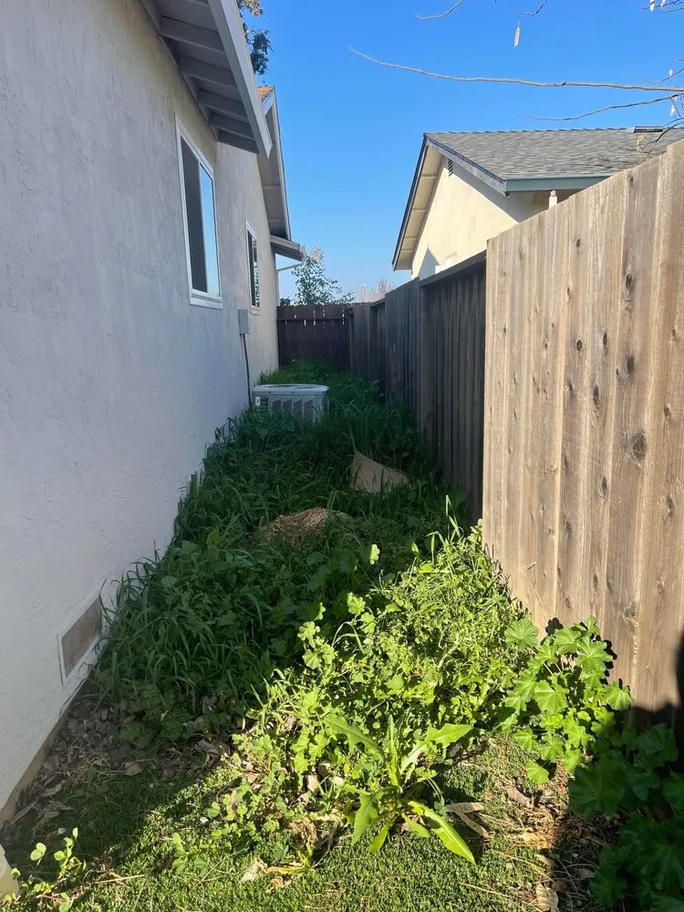 Custom outdoor landscaping in Concord, CA by Parra Trees & Construction