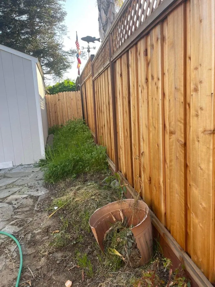 Local yard maintenance in Concord, CA by Parra Trees & Construction
