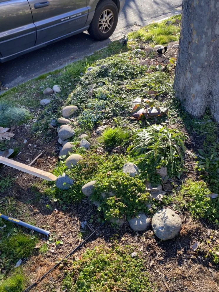 Professional landscaping services in Concord, CA by Parra Trees & Construction