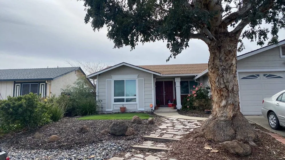 Professional landscaping services in Concord, CA - Parra Trees & Construction