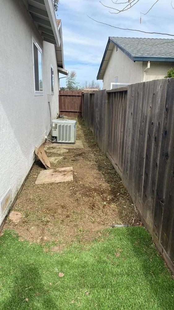 Expert lawn care service in Concord, CA - Parra Trees & Construction