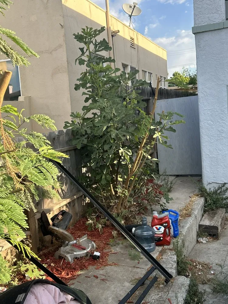 Reliable landscape installation for homes in Concord, CA by Parra Trees & Construction