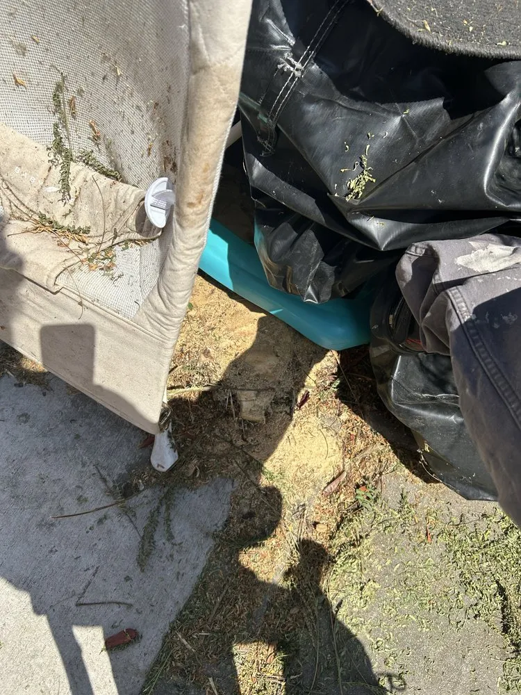 Expert outdoor landscaping in Concord, CA by Parra Trees & Construction