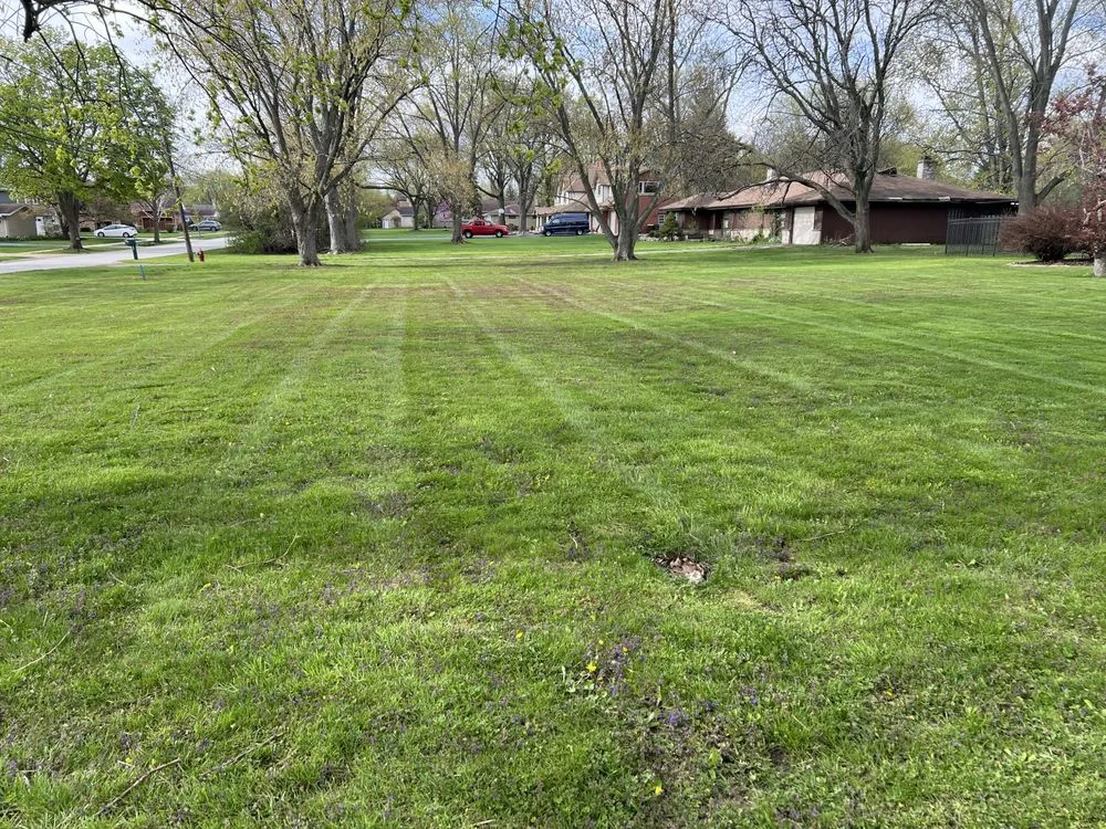 Expert residential landscaping for year-round maintenance across Palatine, IL - Parra’s Landscaping & Tree Services