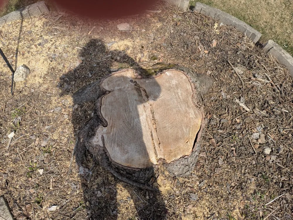 Local outdoor landscaping for year-round maintenance in Palatine, IL by Parra’s Landscaping & Tree Services