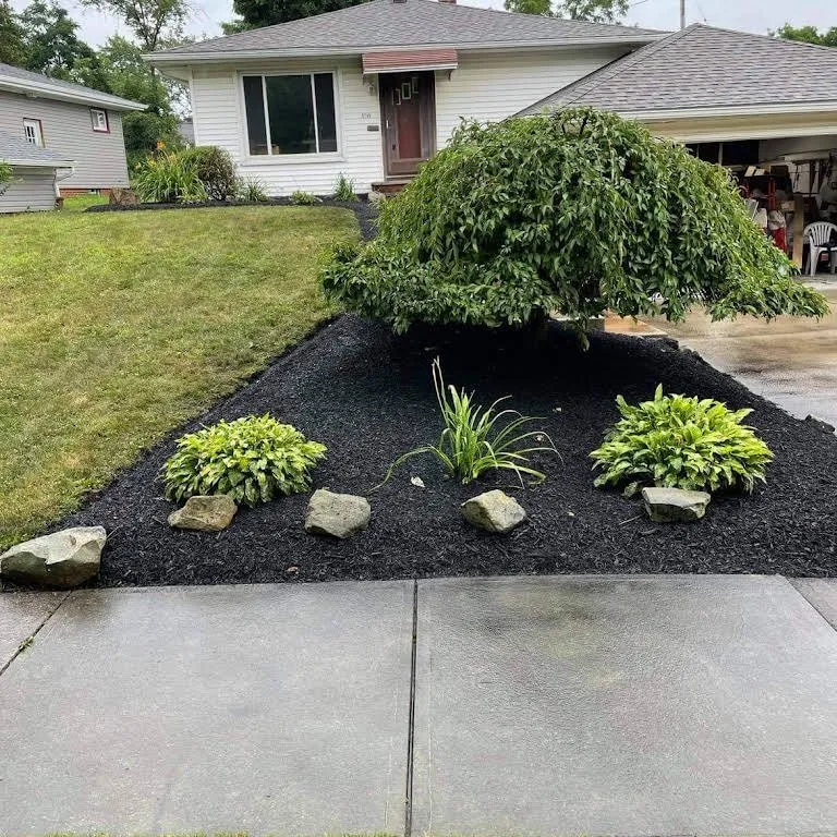Top-rated yard cleanup service near you in Parma Heights, OH by Parra’s Landscaping And General Construction