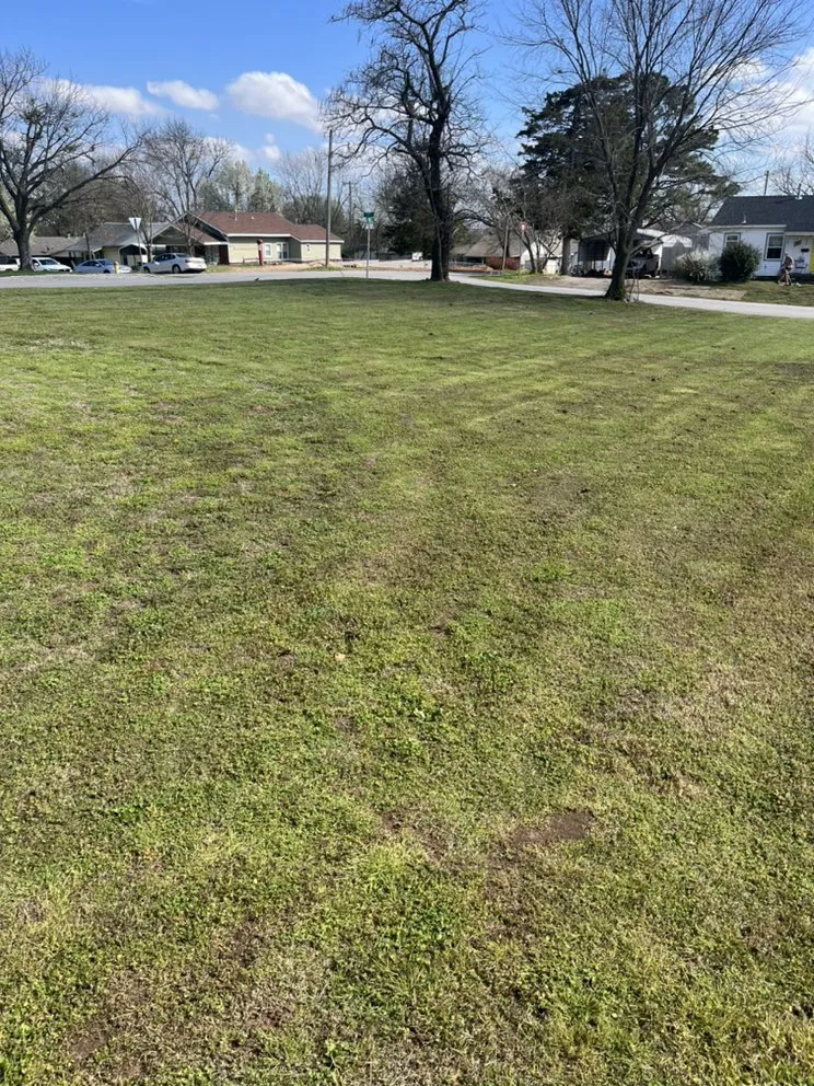 Custom yard cleanup service for beautiful yards in Bristow, OK by Parricks Lawn Service