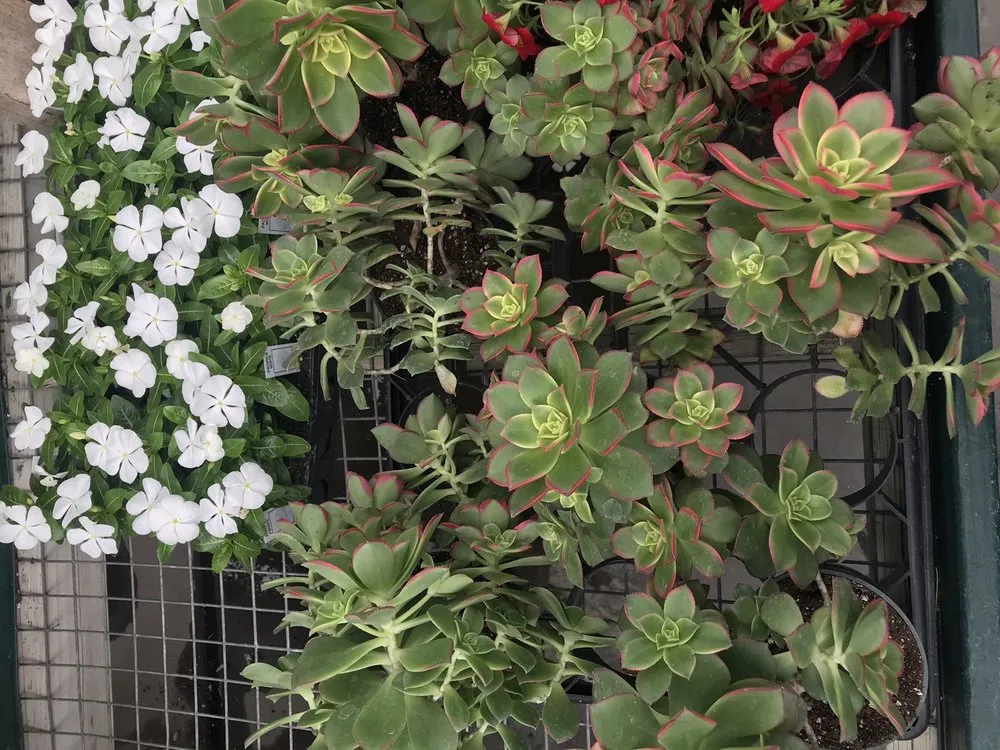 Expert garden landscaping with custom design across Pawling, NY - Parrino's Greenhouses Garden Center & Florist