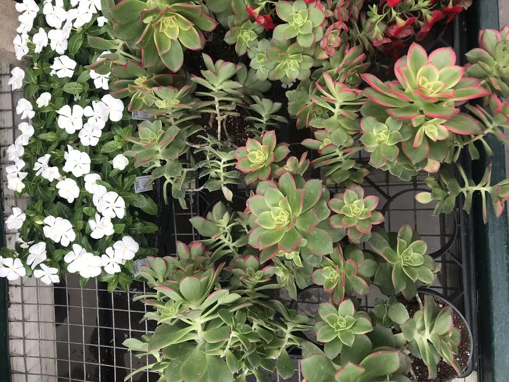 Professional residential landscaping for homes across Pawling, NY - Parrino's Greenhouses Garden Center & Florist