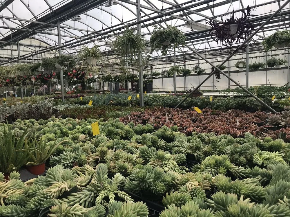 Top-rated yard cleanup service in Pawling, NY - Parrino's Greenhouses Garden Center & Florist