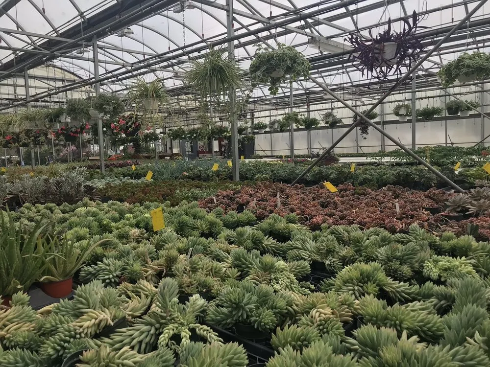 Trusted landscape design for outdoor upgrades in Pawling, NY by Parrino's Greenhouses Garden Center & Florist