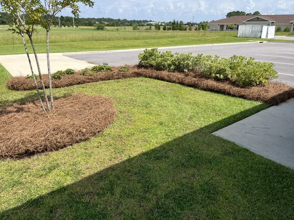 Reliable lawn care service in Ashford, AL - Parrish Landscaping