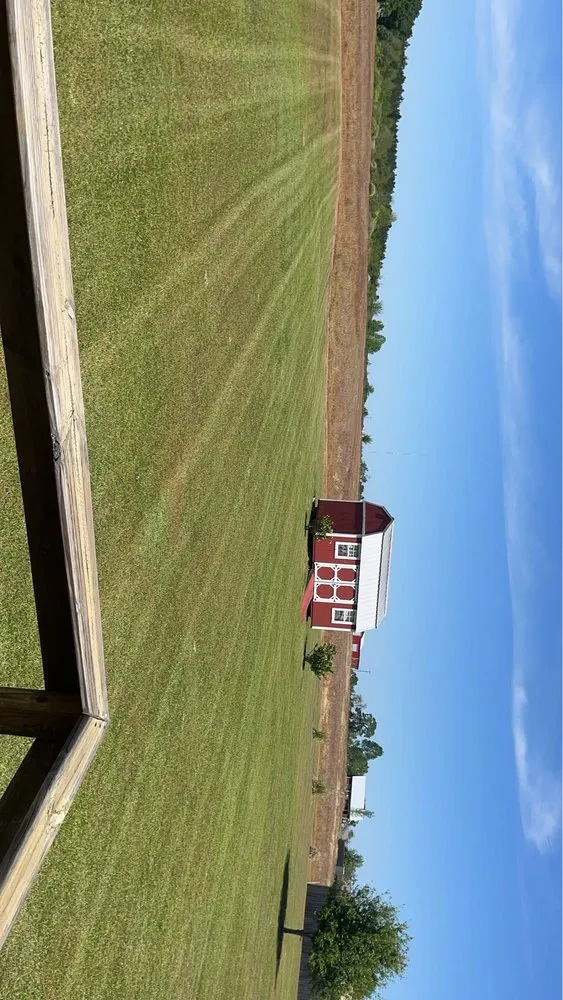 Professional yard cleanup service in Ashford, AL - Parrish Landscaping