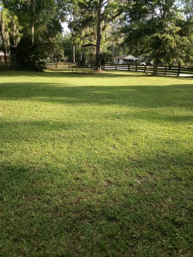 Local residential landscaping for homes across Lake Butler, FL - Parrish Property Maintenance And Handyman Service